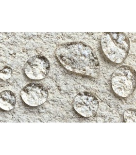 Minéralisant Guard durcisseur fixateur de surface matériaux friables