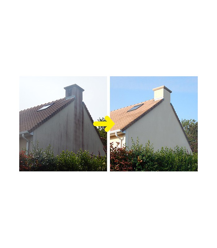 Rénov'Guard Express Nettoyant façades concentré surpuissant tous matériaux