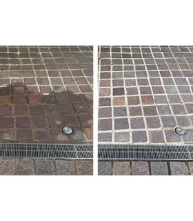 Decap Sol Guard Formule Vegetale