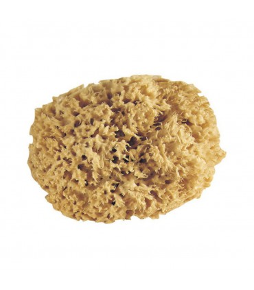 Accessoires Ménage et Jardin