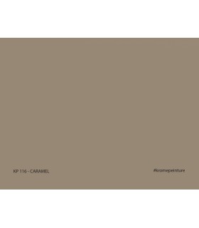 Echantillon de Peinture Repositionnable Stick'N'Test Evasion by Krome 20x15cm