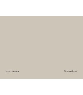 Échantillon de peinture repositionnable Stick'N'Test Krome Evasion 20x15 cm
