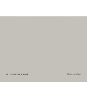 Echantillon de Peinture Repositionnable Stick'N'Test Evasion by Krome 20x15cm