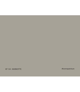 Echantillon de Peinture Repositionnable Stick'N'Test Evasion by Krome 20x15cm