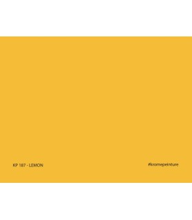 Échantillon de peinture repositionnable Stick'N'Test Krome Evasion 20x15 cm