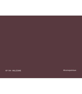 Échantillon de peinture repositionnable Stick'N'Test Krome Evasion 20x15 cm