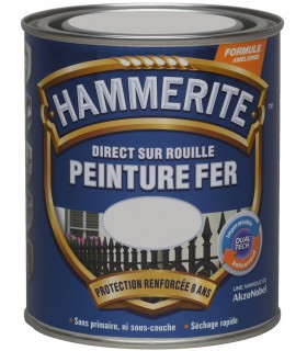Hammerite Peinture fer Direct sur rouille Brillant