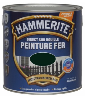 Hammerite Peinture fer Direct sur rouille Brillant