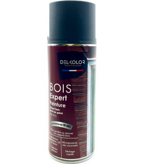 Delkolor Aérosol Peinture Microporeuse spéciale Bois 400ML