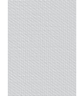 Toile de verre S25 motif tresse 145g/m² - 50 m x 1 m