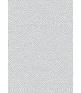 Toile de verre S30 crépis 165g/m² - 50 m x 1 m