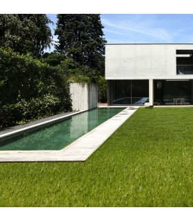 Gazon synthétique 52mm - KING - à la coupe sur mesure - Largeur 4 mètre(s)