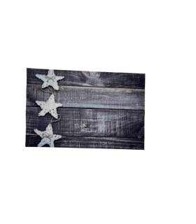 Tapis anti-poussière Star on the Beach 40x60cm