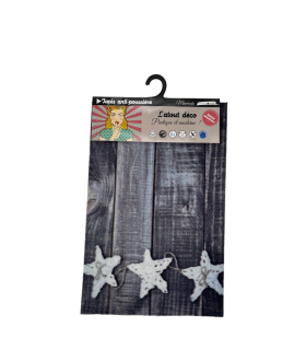 Tapis anti-poussière Star on the Beach 40x60cm