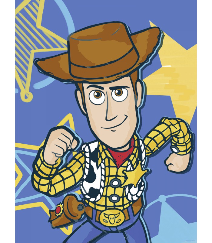 DISNEY AND PIXAR TOY STORY WOODY 30X40