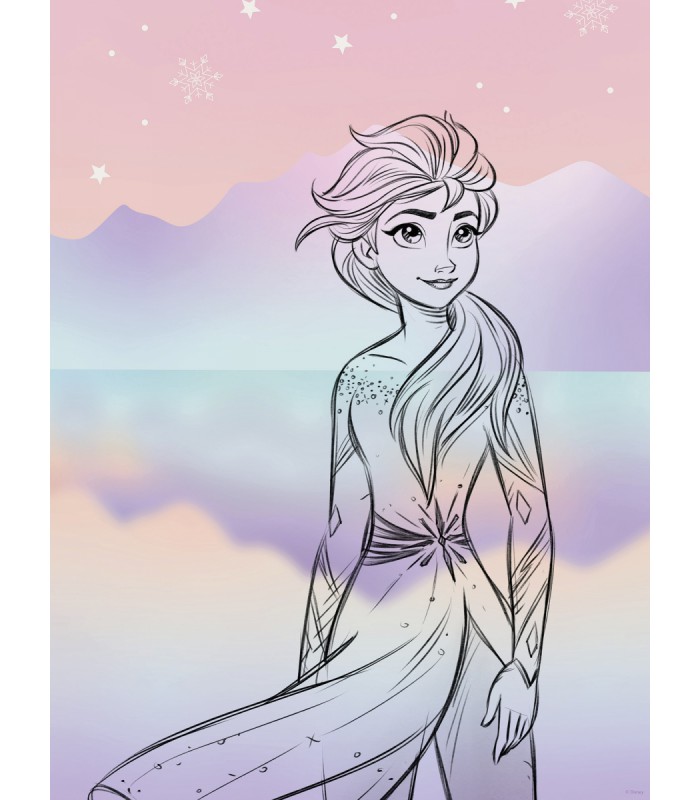DISNEY FROZEN PASTELL LIGHTS 30X40