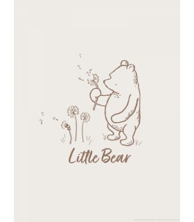 DISNEY WINNIE THE POOH LITTLE BEAR 30X40