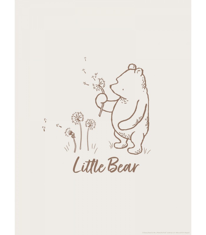 DISNEY WINNIE THE POOH LITTLE BEAR 30X40