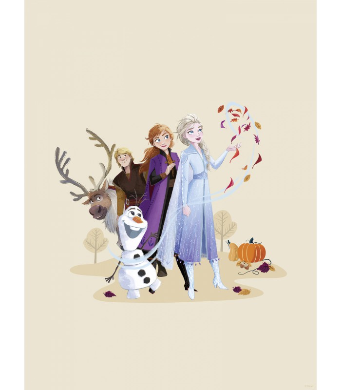 DISNEY FROZEN AUTUMN FEELING 30X40