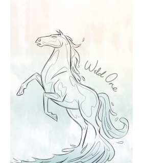 DISNEY FROZEN BLUE LIGHTS 30X40