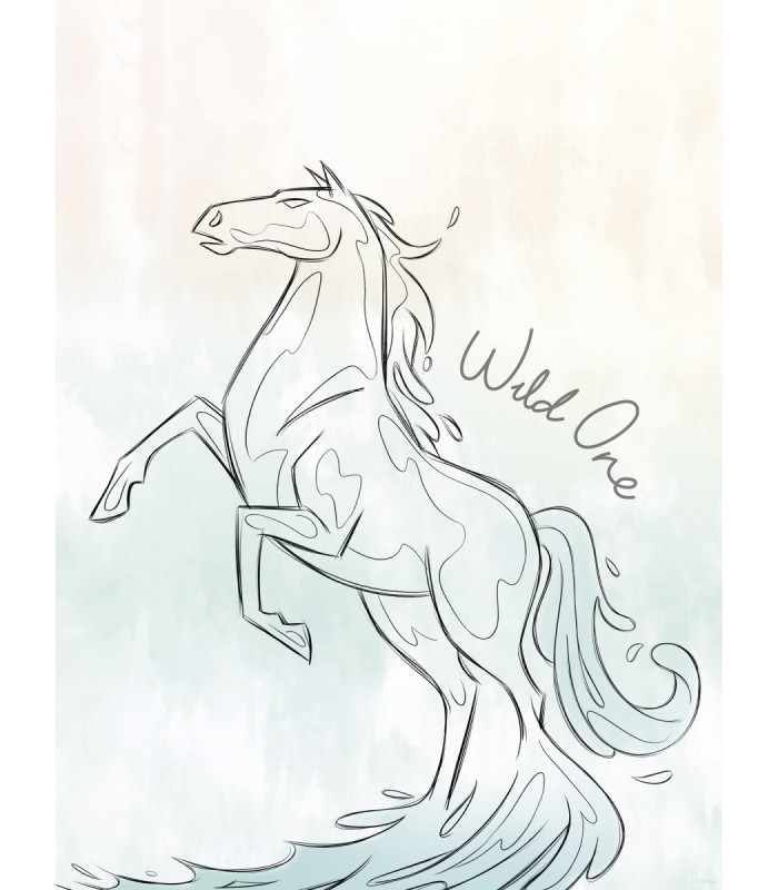 DISNEY FROZEN BLUE LIGHTS 30X40