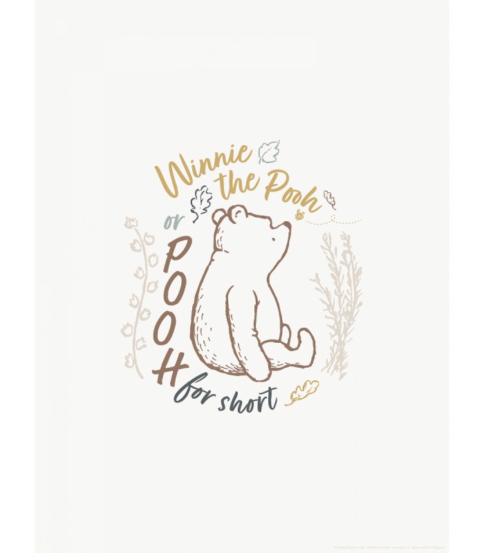 DISNEY WINNIE THE POOH FOR SHORT 30X40