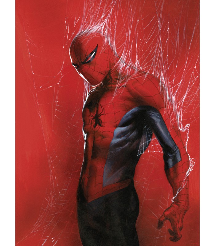 MARVEL SPIDER-MAN THROUGH THE SPIDER WEB 30X40