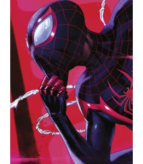 MARVEL SPIDER-MAN PONDERING 30X40