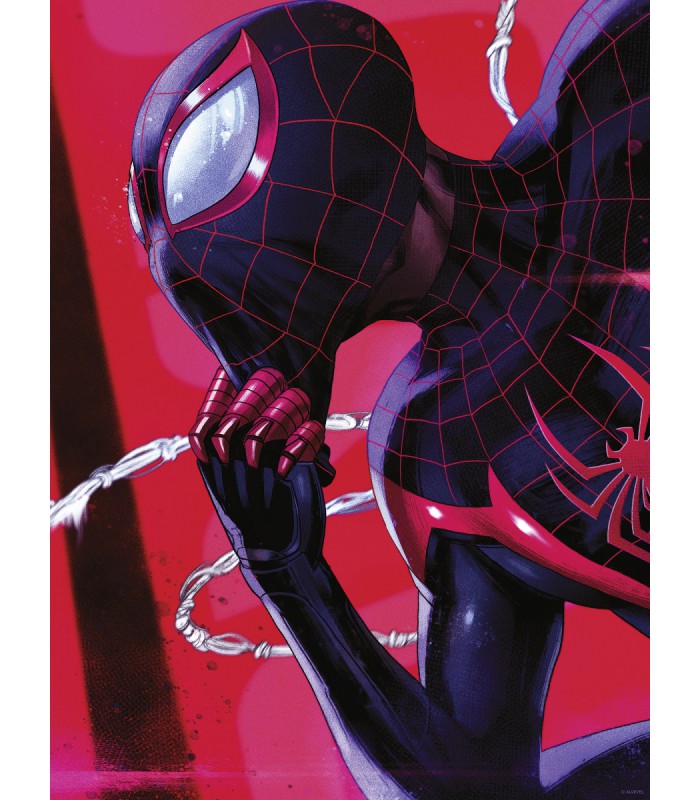 MARVEL SPIDER-MAN PONDERING 30X40