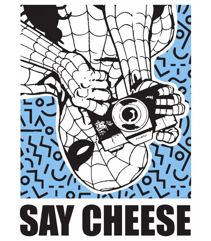 MARVEL SPIDER-MAN SAY CHEESE BLUE 30X40