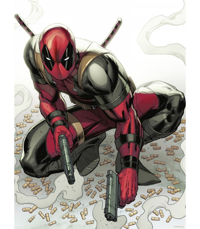 MARVEL DEADPOOL BULLETS 30X40