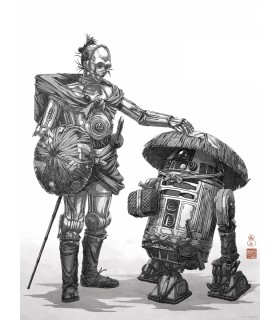 STAR WARS VISION SAMURAI DROIDS 30X40