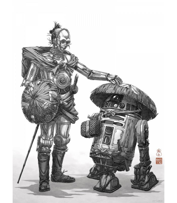 STAR WARS VISION SAMURAI DROIDS 30X40