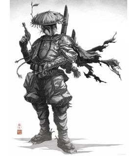 STAR WARS VISION SAMURAI BOUNTY HUNTER 30X40