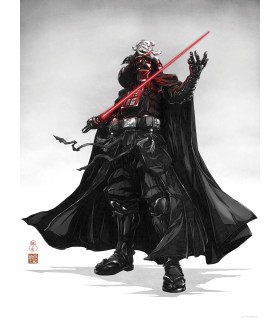 STAR WARS VISION SAMURAI DARK LORD 30X40