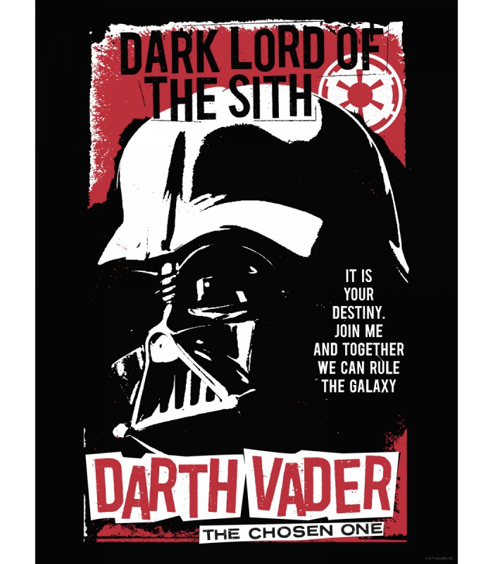 STAR WARS DARTH VADER THE CHOSEN ONE 30X40