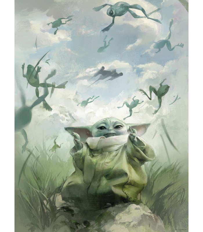STAR WARS THE MANDALORIAN GROGU FROGS 30X40
