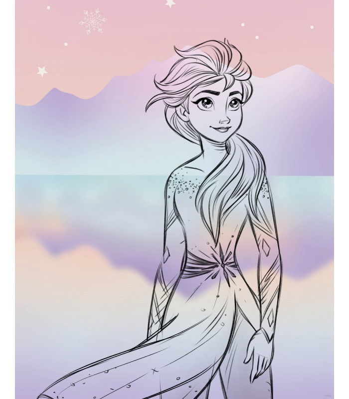 DISNEY FROZEN PASTELL LIGHTS 40X50