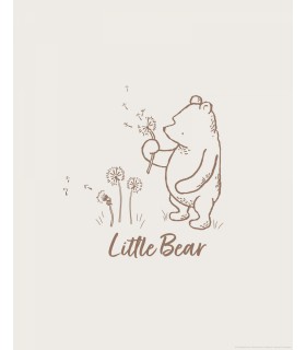 DISNEY WINNIE THE POOH LITTLE BEAR 40X50