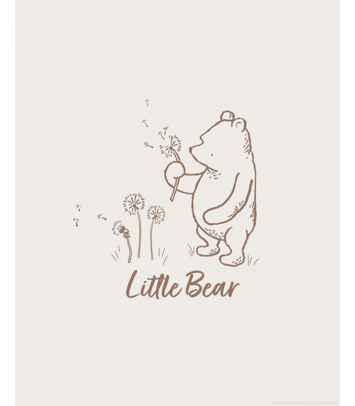 DISNEY WINNIE THE POOH LITTLE BEAR 40X50