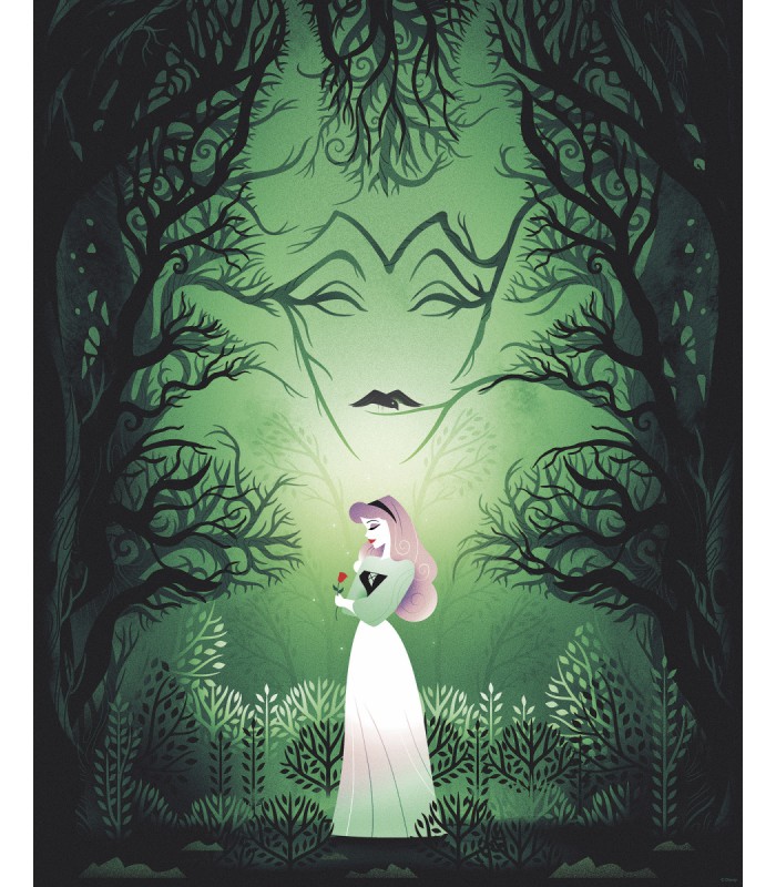 DISNEY SLEEPING BEAUTY AURORA MALEFICENT 40X50