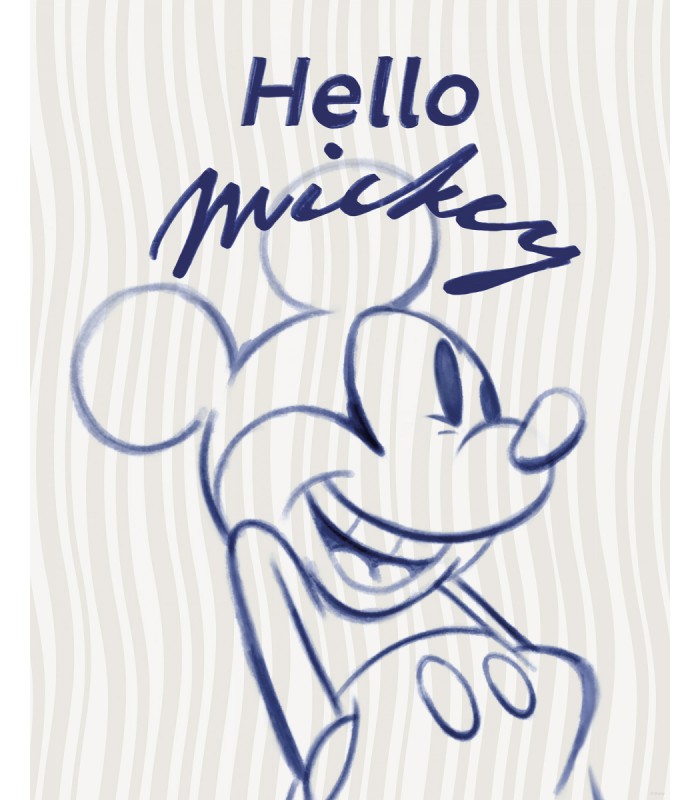 DISNEY MICKEY MOUSE HELLO 40X50