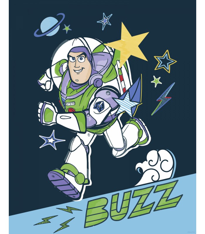 DISNEY AND PIXAR TOY STORY BUZZ 40X50