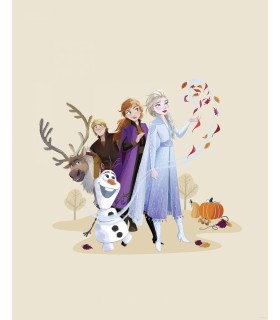 DISNEY FROZEN AUTUMN FEELING 40X50