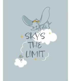 DISNEY DUMBO SKY`S THE LIMIT 40X50