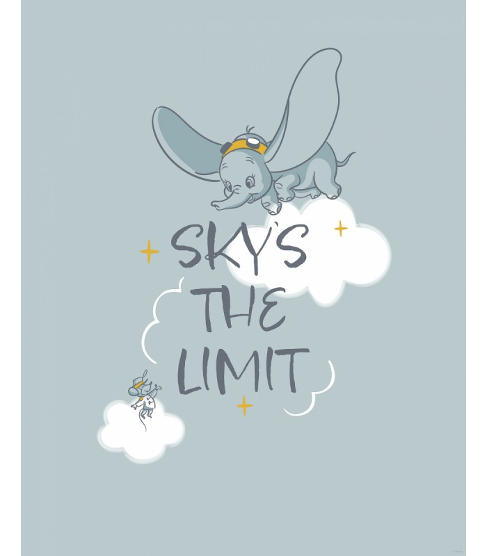 DISNEY DUMBO SKY`S THE LIMIT 40X50
