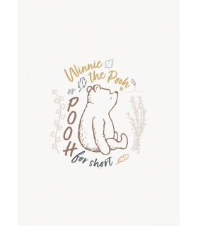 DISNEY WINNIE THE POOH FOR SHORT 40X50