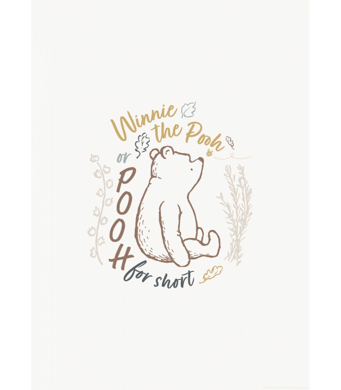 DISNEY WINNIE THE POOH FOR SHORT 40X50