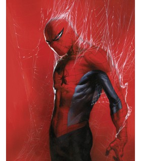 MARVEL SPIDER-MAN THROUGH THE SPIDER WEB 40X50
