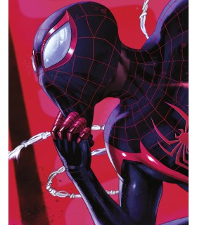 MARVEL SPIDER-MAN PONDERING 40X50